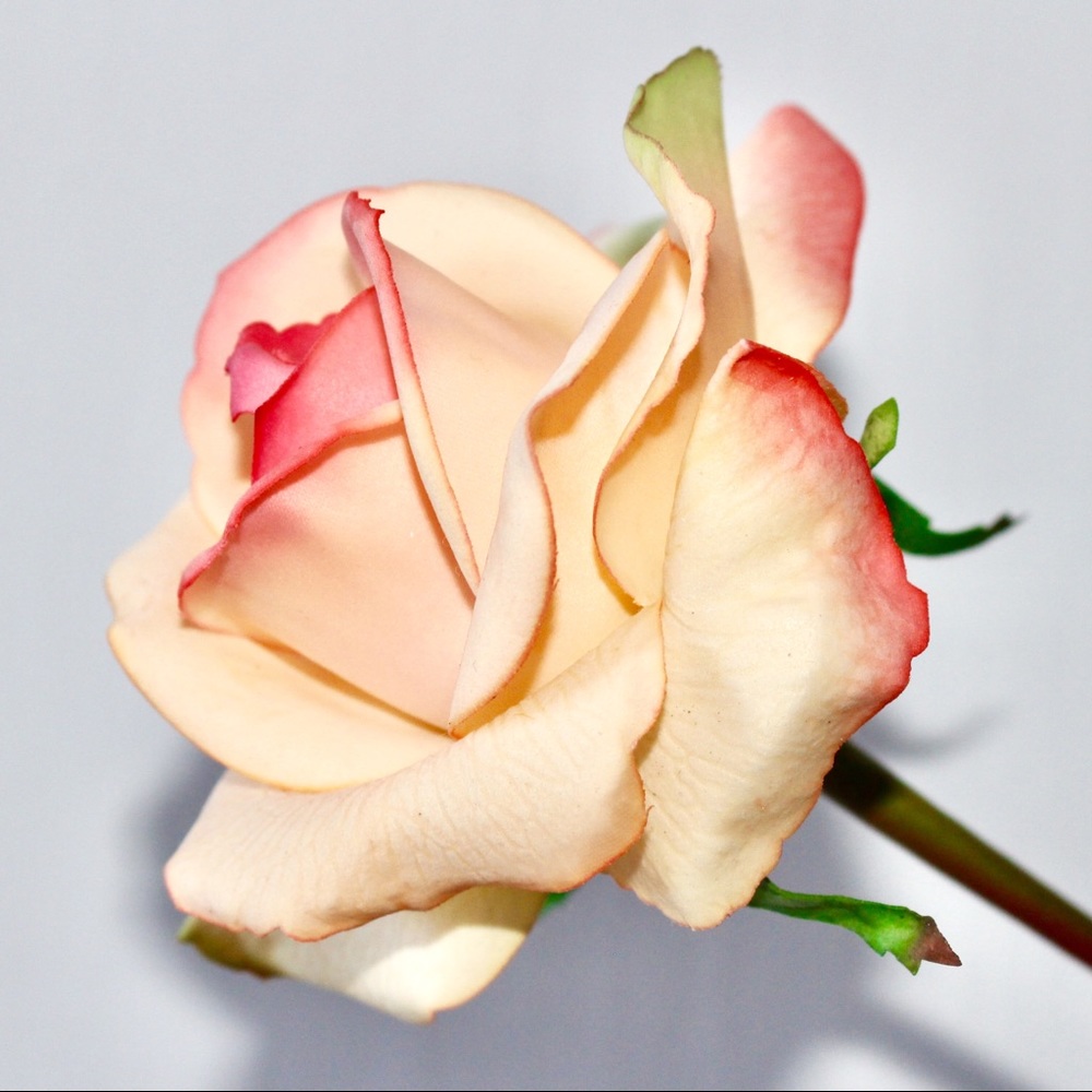 ❤️ Welcome to our closet! ❤️